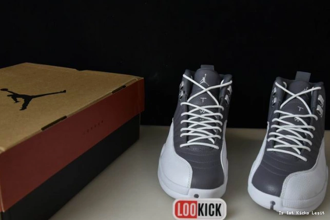 STEALTH 12 CT8025-610 AIR JORDAN 0709